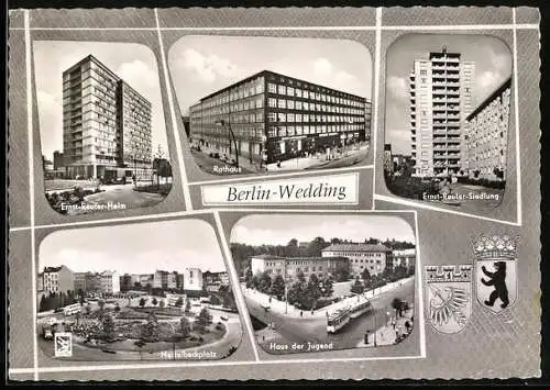 AK Berlin-Wedding, Rathaus, Ernts-Reuter-Heim, Nettelbeckplatz