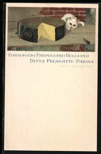 Künstler-AK Formaggio Parmigiano Reggiano ditta Pelagatti-Parma, Casa Fondatanci 1839, Katze blickt auf ein Laib Käse