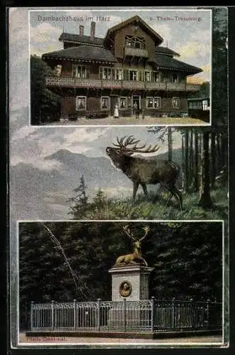 AK Thale, Dambachshaus im Harz, Pfeil`s Denkmal, Hirsch am Waldrand