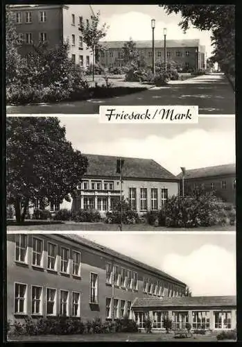 AK Friesack, Ingenieur-Schule, versch. Ansichten