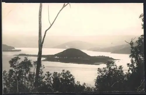 AK Valdivia /Isla Mancera, Vista panorámica