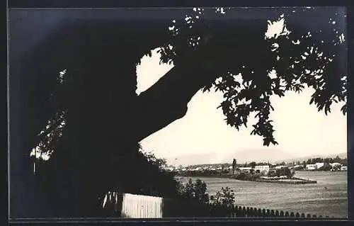 AK Valdivia, Blick aus der Ferne