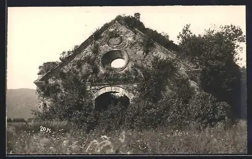 AK Isla Mancera, Bewachsende Ruine