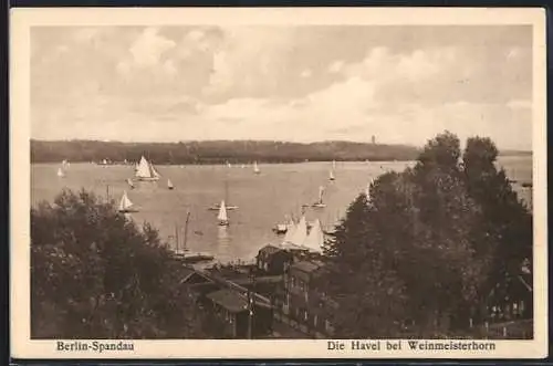 AK Berlin-Spandau, Die Havel bei Weinmeisterhorn, Segelboote