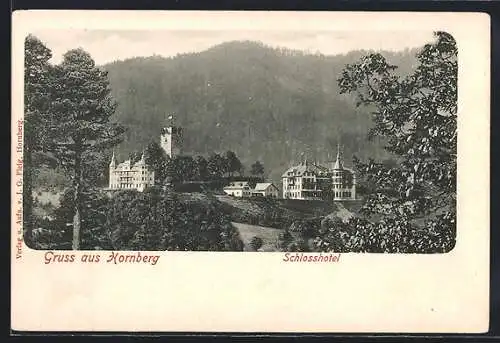 AK Hornberg / Schwarzwald, Schlosshotel