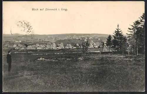 AK Zinnwald i. Erzg., Blick auf den Ort und umliegende Landschaft