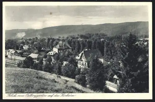 AK Rottleberode /Südharz, Blick vom Obstgarten auf Dr. Arndts Kurheim