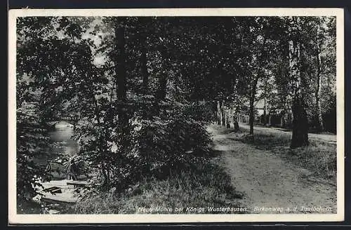 AK Neue Mühle bei Königs Wusterhausen, Birkenweg an den Tonlöchern