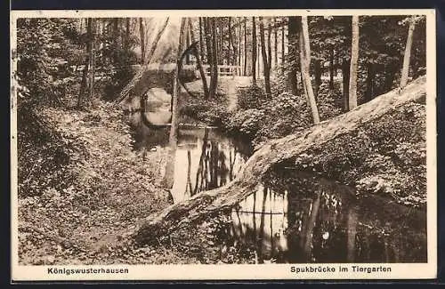 AK Königswusterhausen, Spukbrücke im Tiergarten