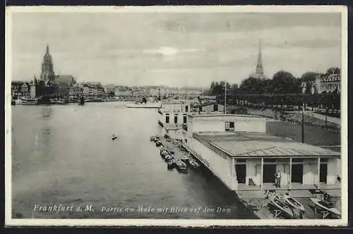 AK Alt-Frankfurt, Partie am Main, Blick auf den Dom