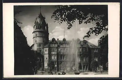 AK Detmold, Residenzschloss mit Fontäne