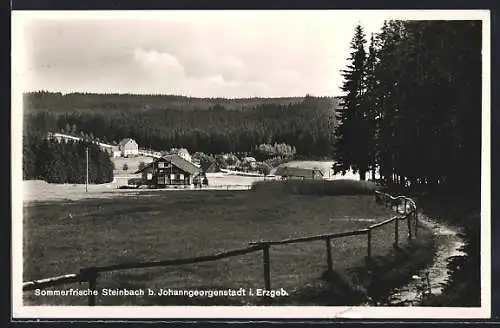 AK Steinbach b. Johanngeorgenstadt, Ortsansicht vom Waldrand gesehen
