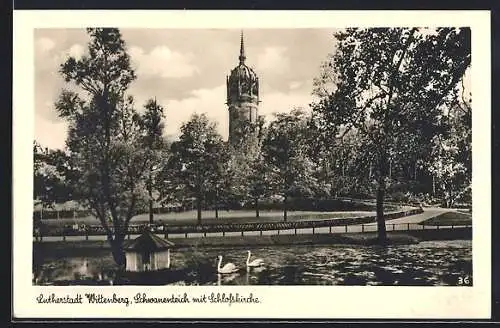 AK Wittenberg / Elbe, Schwanenteich mit Schlosskirche