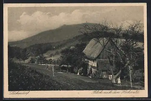 AK Lückendorf, Blick nach dem Hochwald