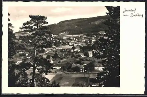 AK Kurort Jonsdorf, Panorama vom Buschberg