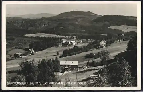 AK Waltersdorf / Sachsen, Blick v. Lauschehang zum Hochwald