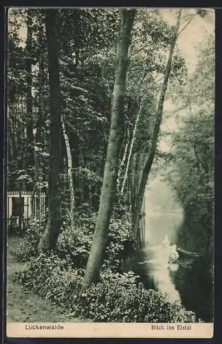 AK Luckenwalde, Blick ins Elstal, Schwäne