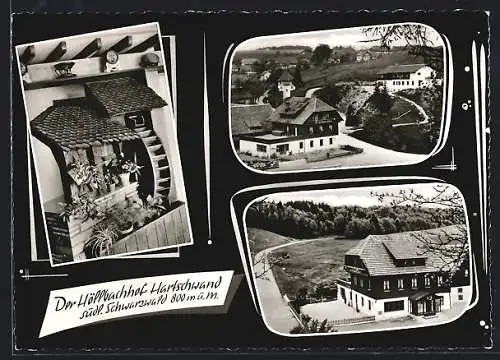 AK Hartschwand /Schwarzwald, Gasthof Höllbachhof G. Weber, Ortspartie