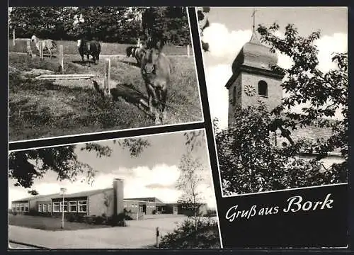 AK Bork /Westf., Pferdekoppel, Kirche, Gebäudeansicht