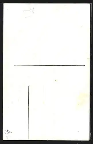 AK Zittau, Johanneum mit Strassenpartie