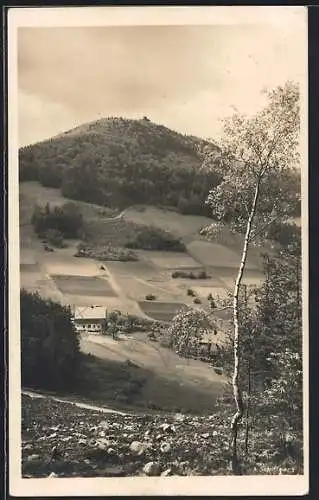 AK Waltersdorf / Sachsen, Restaurant und Cafe Lausche Krahl