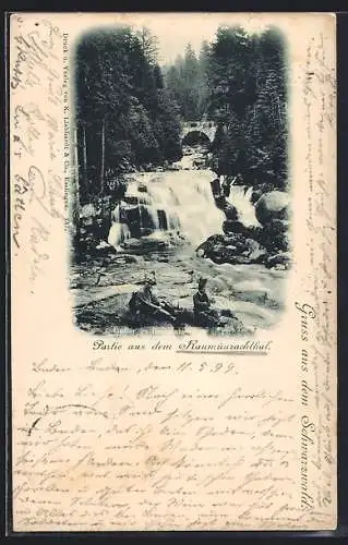 AK Forbach / Schwarzwald, Raumünzachthal, Wasserfall