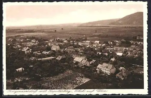 AK Langenzersdorf, Teilansicht mit Leopoldsberg, Blick auf Wien