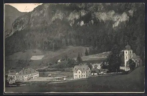 AK Schwarzau im Gebirge, Ortsansicht gegen die Berge