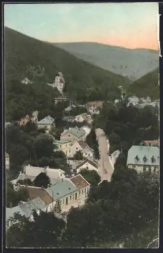 AK Kaltenleutgeben, Panorama
