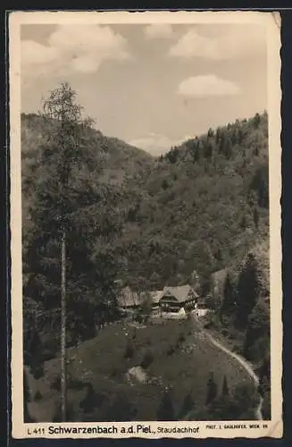 AK Schwarzenbach a. d. Piel., Alpenpension Staudachhof
