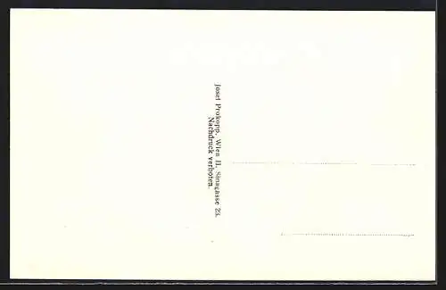 AK Zeiselmauer, Panoramablick aus der Vogelschau