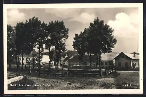 AK Windigsteig /N. D., Blick auf Markt