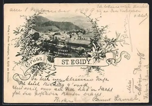 AK St. Aegyd am Neuwalde, Ortsansicht vom Grünbühl aus, Passepartout mit Edelweiss