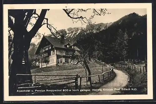 AK Reichenau an der Rax, Knappenhof, Alpenhotel und Pension von Hedwig Kronich