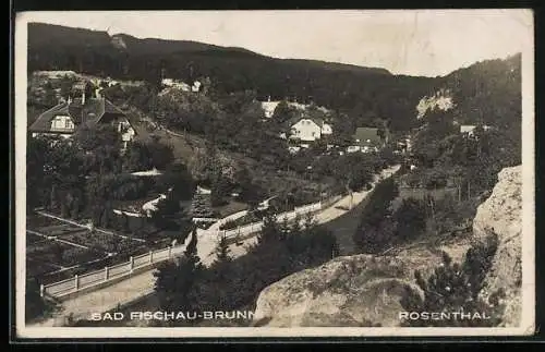 AK Bad Fischau-Brunn, Rosenthal mit Strassenpartie