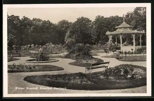 AK Wiener Neustadt, Rosarium Stadtpark