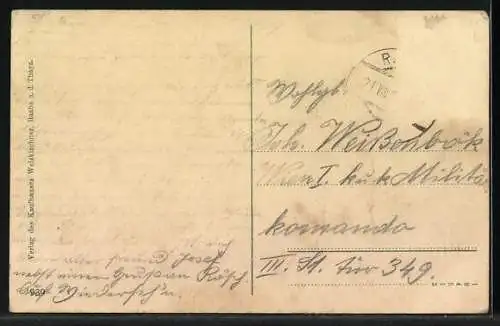 AK Raabs a. d. Thaya, Ortsansicht mit Schloss