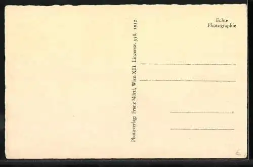 AK Raabs a. d. Thaya, Ortsansicht mit Schloss