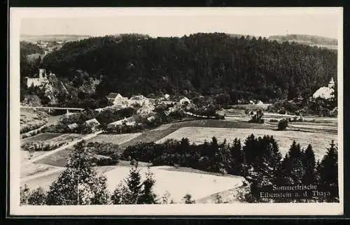 AK Raabs an der Thaya, Eibenstein aus der Vogelschau