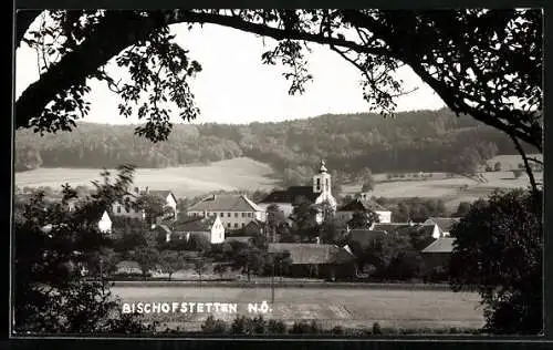 AK Bischofstetten /N. Ö., Ortsansicht mit Kirche