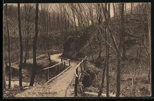 AK St. Andrä-Wördern, Hagenbachklam, Waldweg mit Bäumen