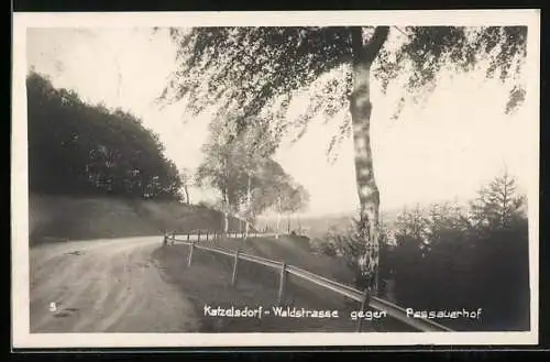 AK Katzelsdorf, Waldstrasse gegen Passauerhof