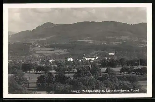 AK Ernegg-Wolfpassing b. Steinakirchen a. Forst, Ortsansicht aus der Vogelschau