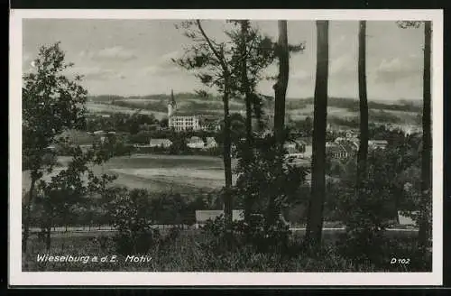 AK Wieselburg a. d. E., Ortsansicht mit Kirche