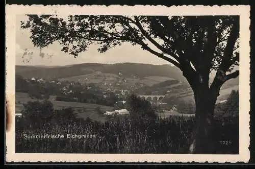 AK Eichgraben, Ortsansicht aus der Vogelschau
