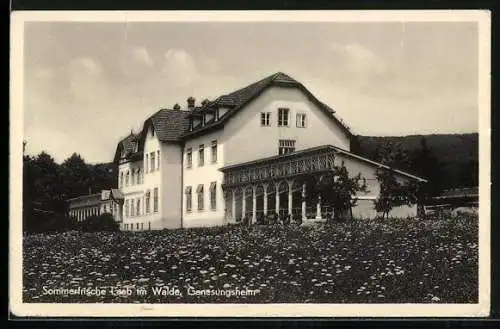 AK Laab im Walde, Teilansicht vom Genesungsheim