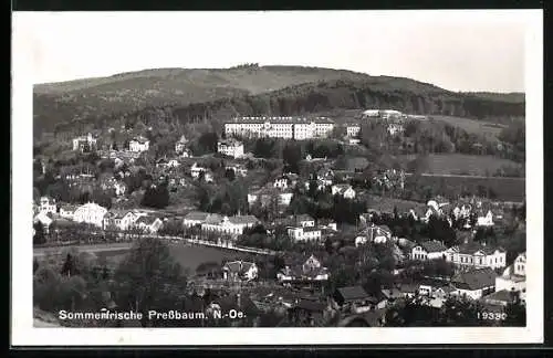 AK Pressbaum /N.-Oe., Ortsansicht aus der Vogelschau