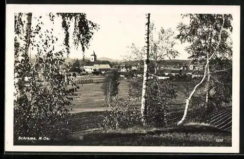 AK Schrems /N.-Oe., Ortsansicht durch ein paar Birken