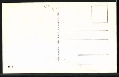 AK Schrems /N.-Oe., Ortsansicht durch ein paar Birken