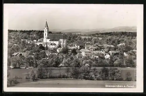 AK Steinakirchen a. Forst, Blick auf den Ort